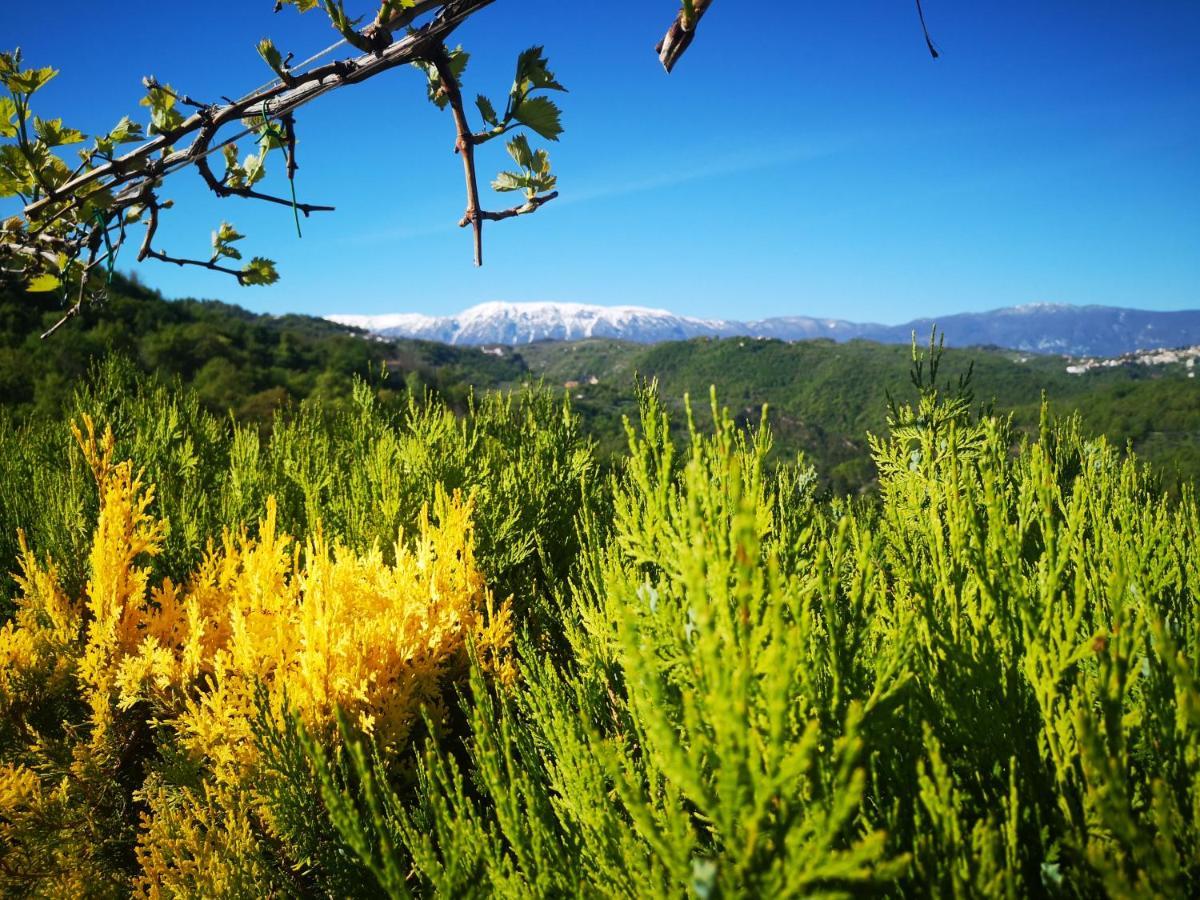 Mary'S Dream Bed and Breakfast Manoppello Εξωτερικό φωτογραφία