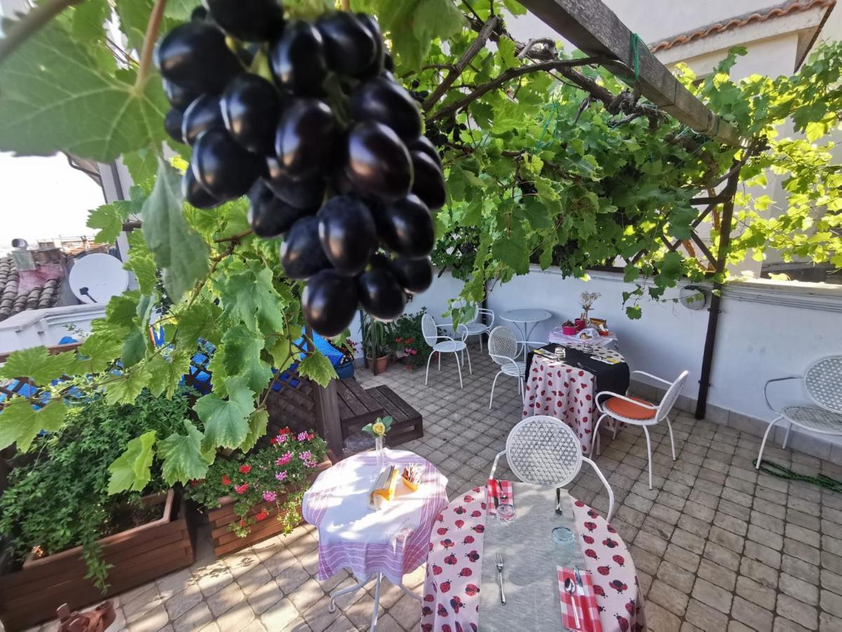 Mary'S Dream Bed and Breakfast Manoppello Εξωτερικό φωτογραφία