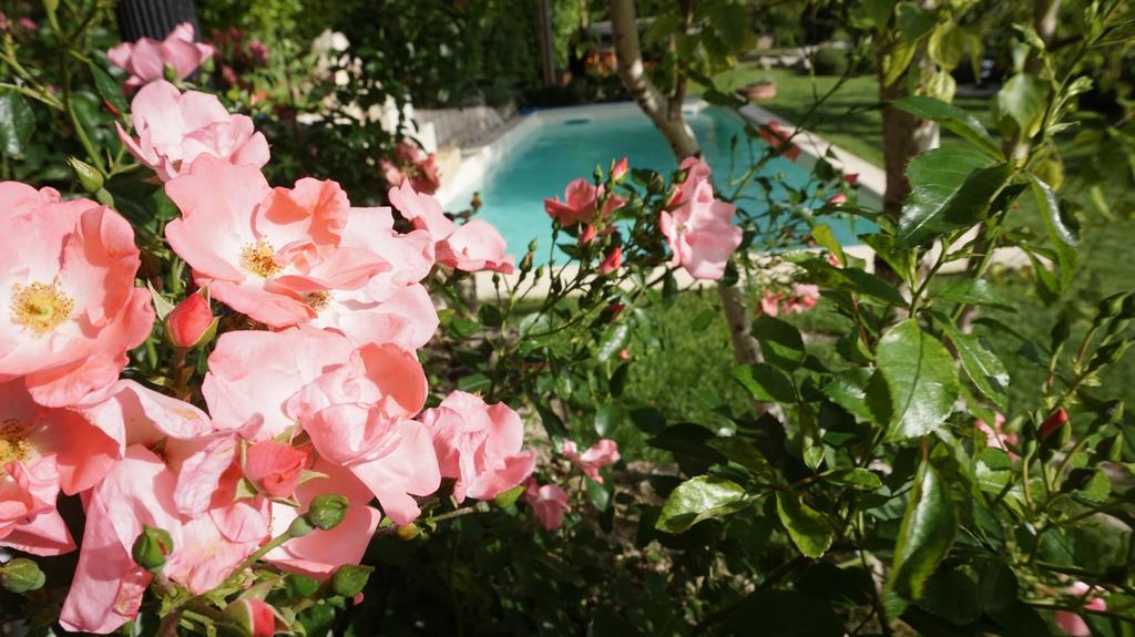 Mary'S Dream Bed and Breakfast Manoppello Εξωτερικό φωτογραφία