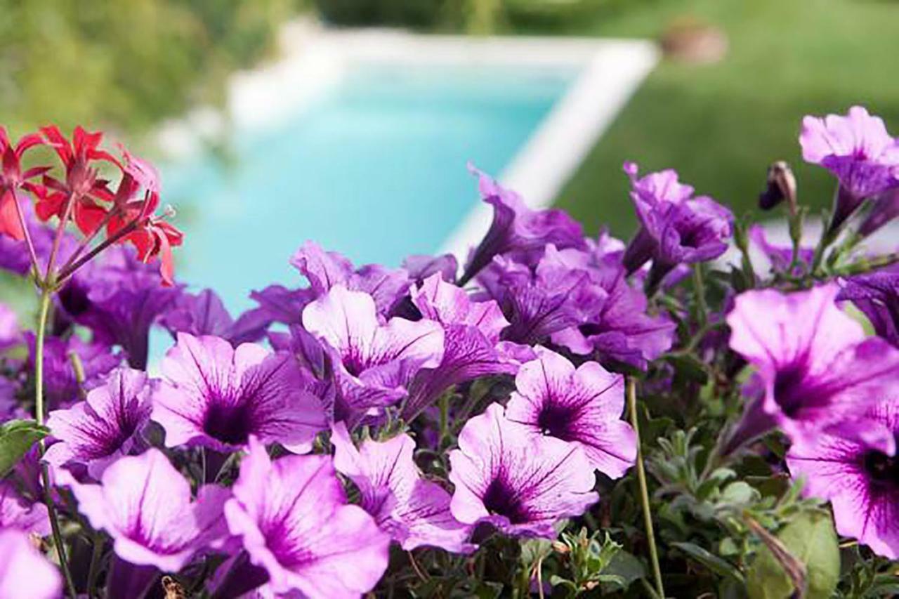 Mary'S Dream Bed and Breakfast Manoppello Εξωτερικό φωτογραφία